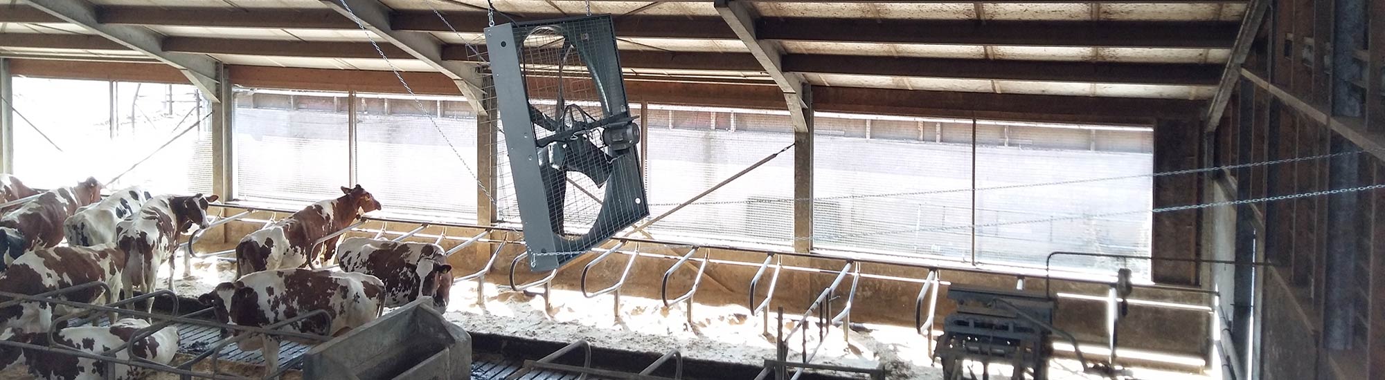 stalventilator in koeienstal